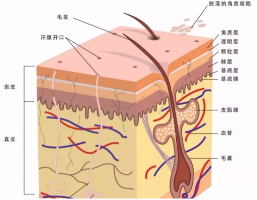 微信截图_20210413105715